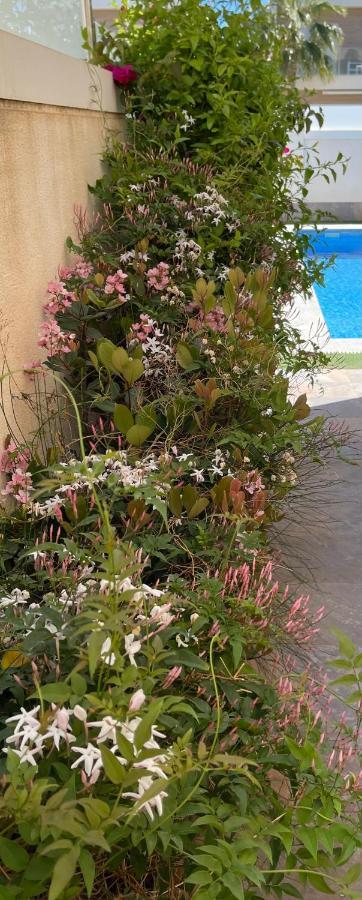 Villa Azul 산페드로델피나타르 외부 사진